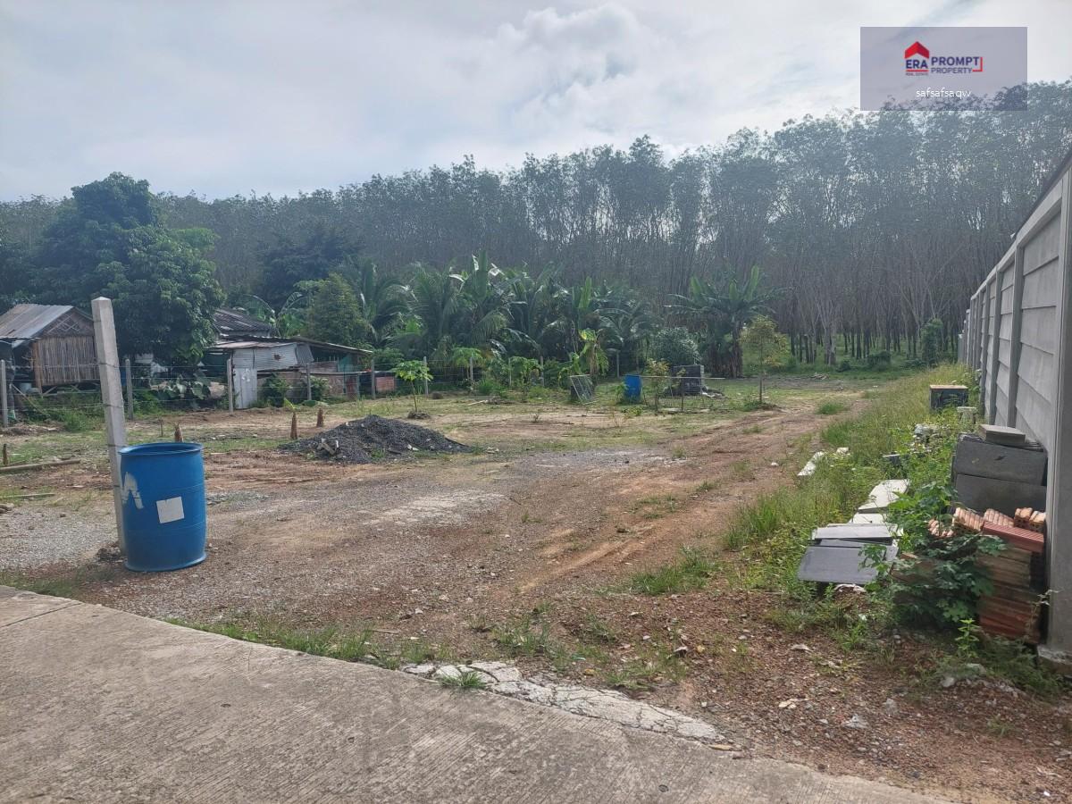 Beautiful land plot 950 sqm in srisoontorn thalang