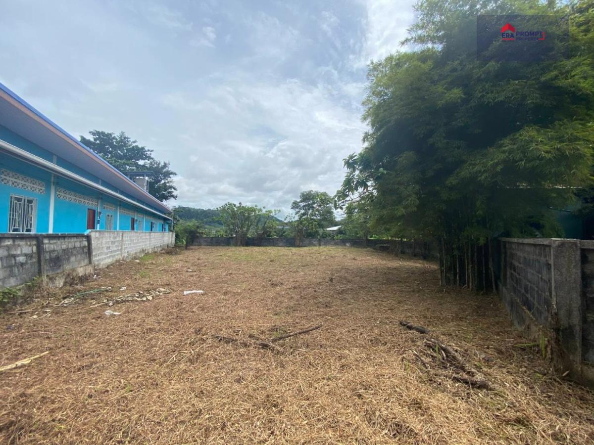 [ขายด่วน] ที่ดินถูกที่สุดในย่าน สาคู–ถลาง ภูเก็ต ที่ดิน 1-1-60.9 ไร่ ใกล้สนามบิน–หาดในยาง ราคาเหมารวมเพียง 3.8 ล้านบาท (โฉนดครุฑแดง)