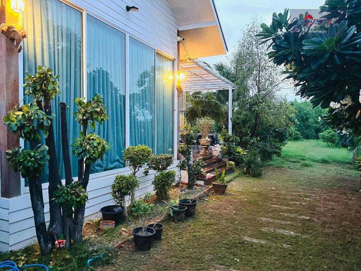 ขายด่วน! บ้านพร้อมที่ดิน 1-3-5 ไร่ ทำเลทอง ติดถนนหน้า-หลัง ใกล้สามแยกบ้านดอน หนองน้ำใส อ.บ้านไผ่ จ.ขอนแก่น