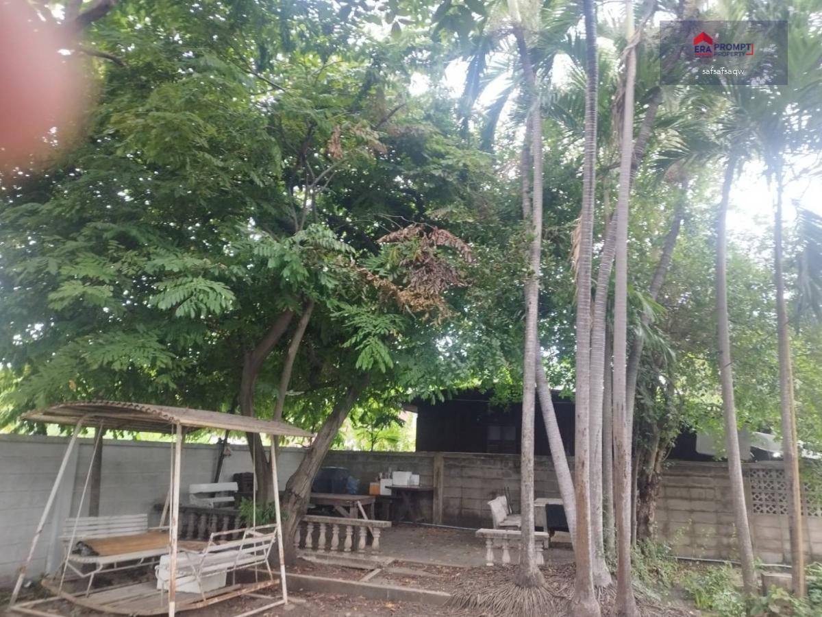 ขายด่วน! ที่ดิน 157 ตร.ว. พร้อมสิ่งปลูกสร้าง แขวงบางด้วน เขตภาษีเจริญ ราคาต่ำกว่า 2.5 ล้านบาท