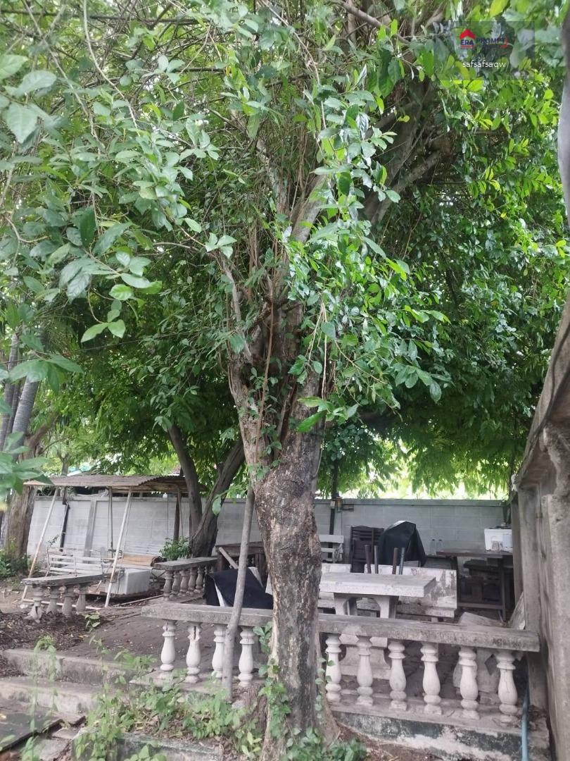 ขายด่วน! ที่ดิน 157 ตร.ว. พร้อมสิ่งปลูกสร้าง แขวงบางด้วน เขตภาษีเจริญ ราคาต่ำกว่า 2.5 ล้านบาท