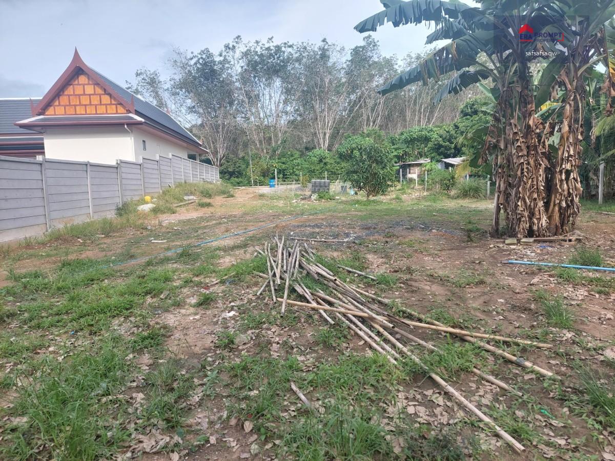 Beautiful land plot 950 sqm in srisoontorn thalang